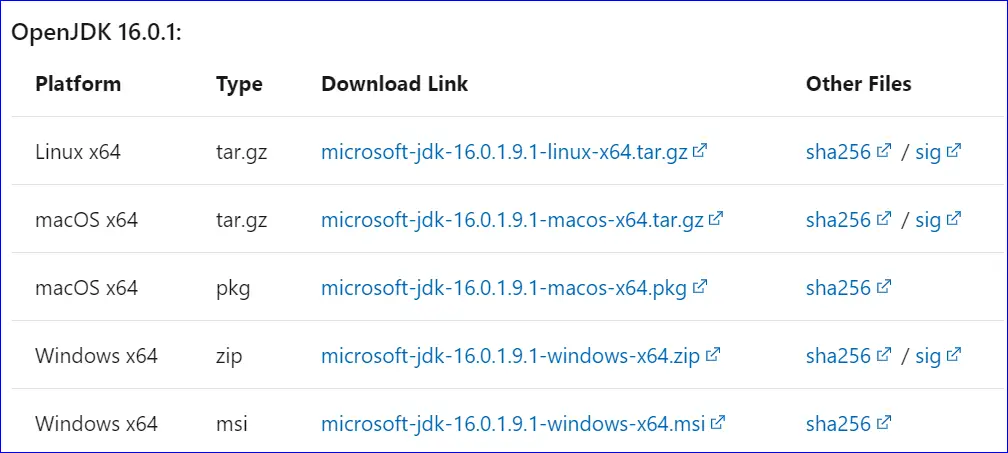 Download and install microsoft OpenJDK 16