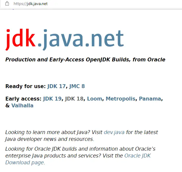 Download Ready for release OpenJDK 19