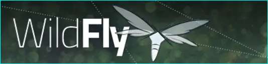 Wildfly installation on windows, linux