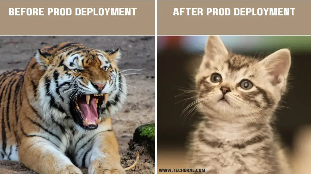 before after java code deployment memes